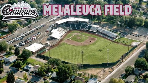 Melaleuca Field