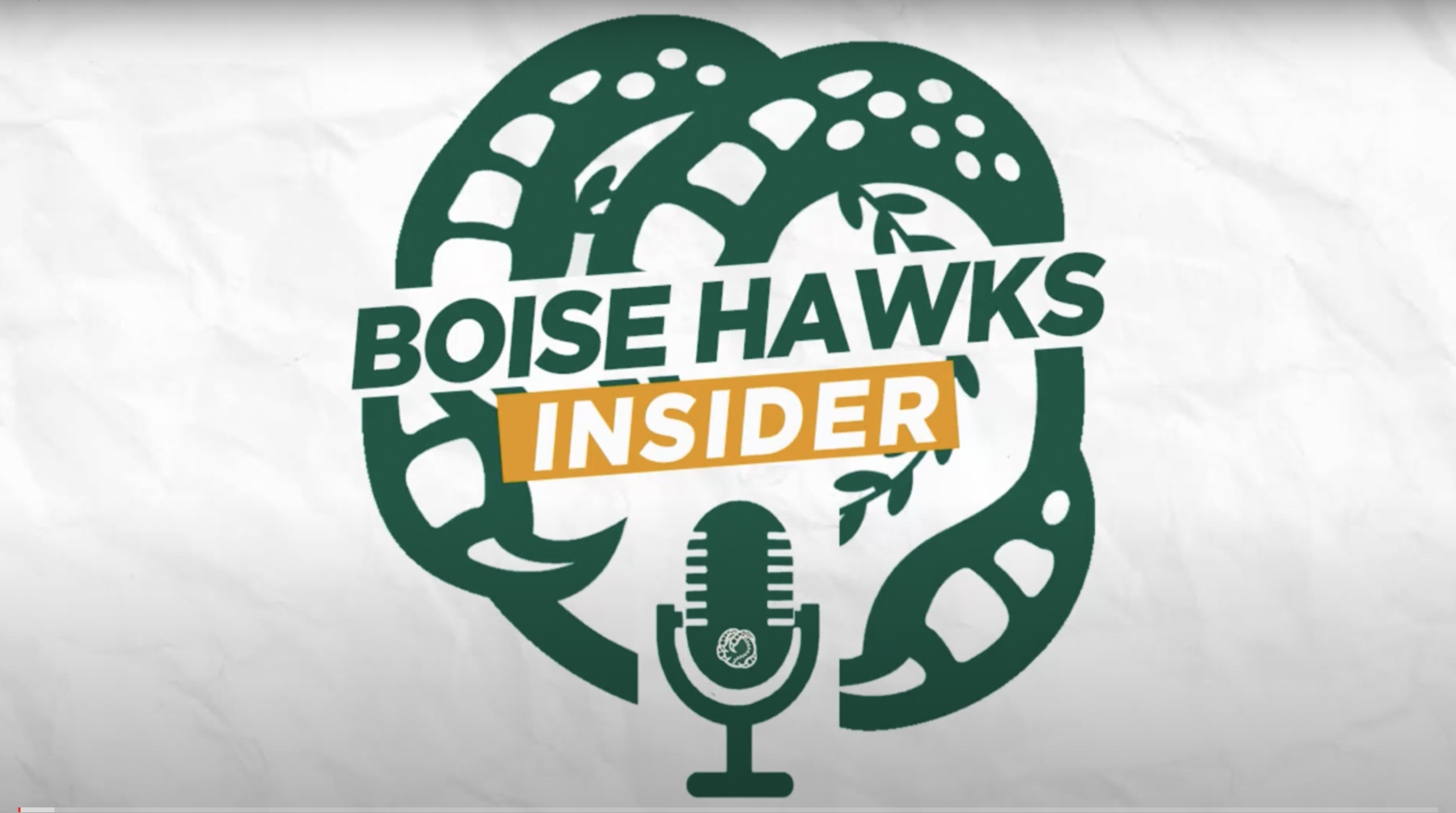 Boise Hawks Insider Podcast